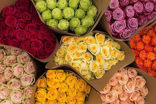 150 Roses Assorted 40 CM