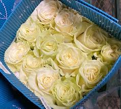 25 Roses Bunch (White)