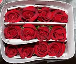 25 Roses Bunch (Red)